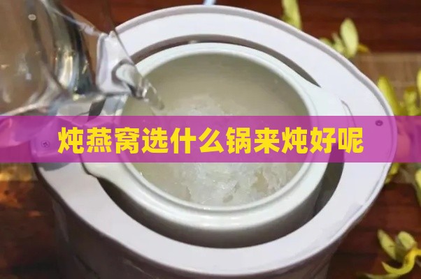 炖燕窝选什么锅来炖好呢