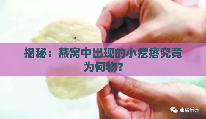 揭秘：燕窝中出现的小疙瘩究竟为何物？