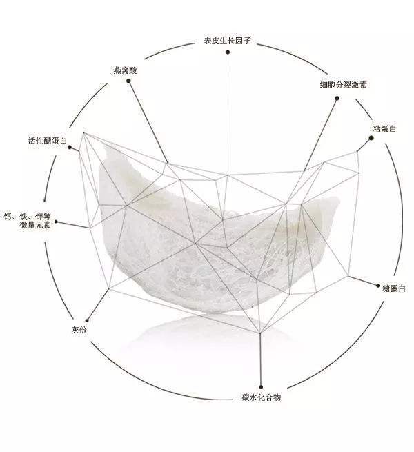 揭秘：古代燕窝与现代食品的等效对比分析