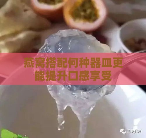 燕窝搭配何种器皿更能提升口感享受