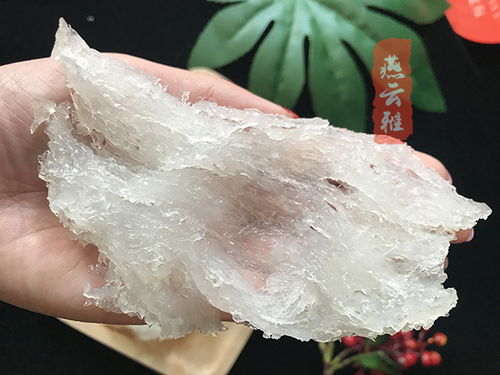 揭秘燕窝煮透明的原因与品质判断：全面解析透明燕窝的特征与真假鉴别方法