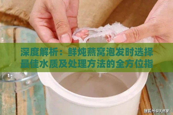 深度解析：鲜炖燕窝泡发时选择更佳水质及处理方法的全方位指南