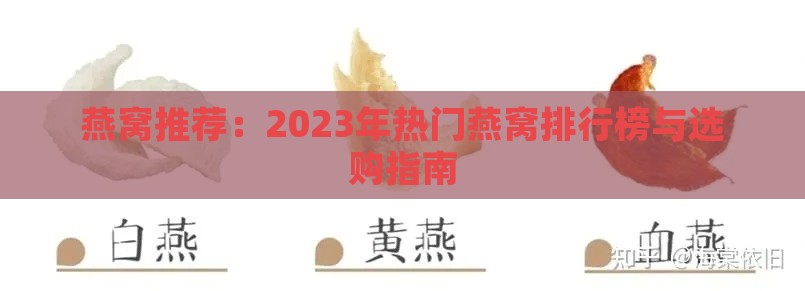 燕窝推荐：2023年热门燕窝排行榜与选购指南