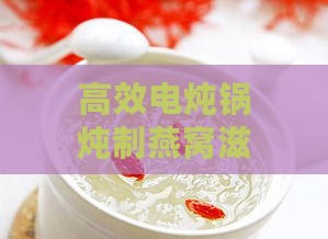 高效电炖锅炖制燕窝滋补美食