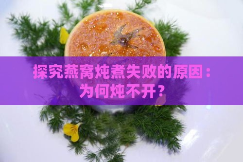 探究燕窝炖煮失败的原因：为何炖不开？