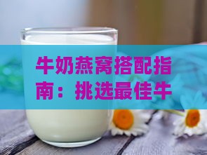 牛奶燕窝搭配指南：挑选更佳牛奶与口感提升秘诀