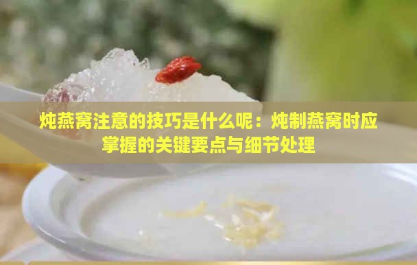 炖燕窝注意的技巧是什么呢：炖制燕窝时应掌握的关键要点与细节处理