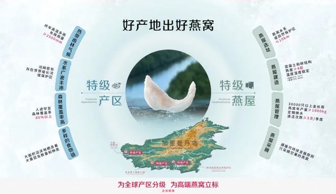 海南区域燕窝代理优选：探寻知名燕窝合作新机遇