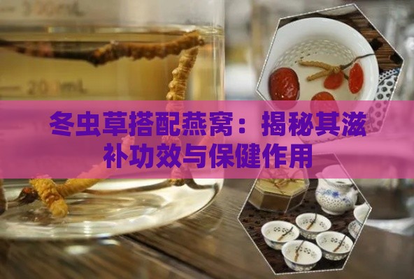 冬虫草搭配燕窝：揭秘其滋补功效与保健作用