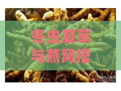 冬虫夏草与燕窝搭配的综合保健功效及适用人群解析