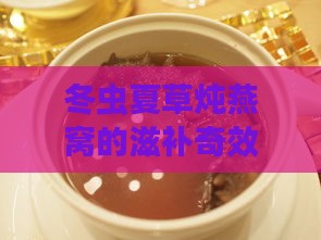 冬虫夏草炖燕窝的滋补奇效：养生保健新选择