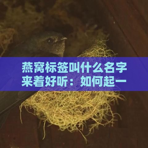 燕窝标签叫什么名字来着好听：如何起一个悦耳的燕窝标签名称？