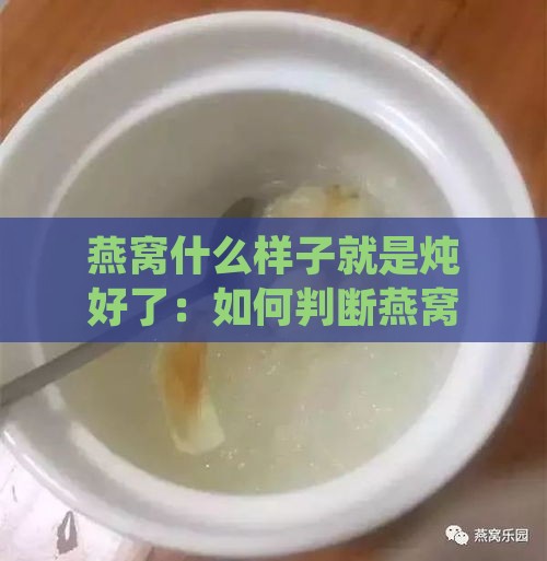 燕窝什么样子就是炖好了：如何判断燕窝炖煮到更佳状态