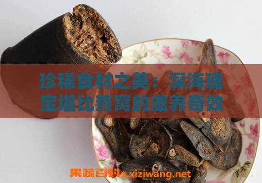 珍稀食材之美：深海瑰宝堪比燕窝的滋养奇效