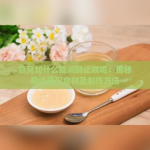 燕窝加什么能润肺止咳呢：揭秘更佳搭配食材及制作方法