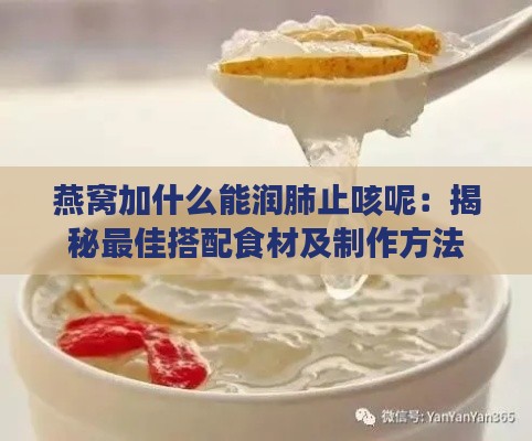 燕窝加什么能润肺止咳呢：揭秘更佳搭配食材及制作方法