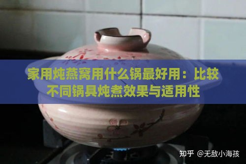 家用炖燕窝用什么锅更好用：比较不同锅具炖煮效果与适用性