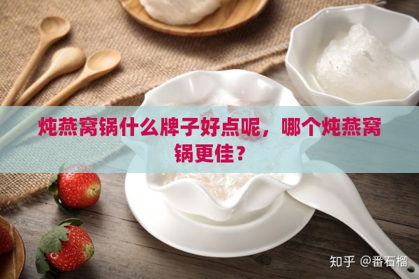 炖燕窝锅什么牌子好点呢，哪个炖燕窝锅更佳？