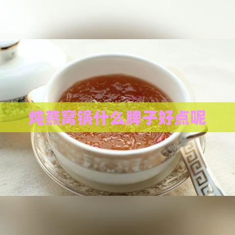 炖燕窝锅什么牌子好点呢