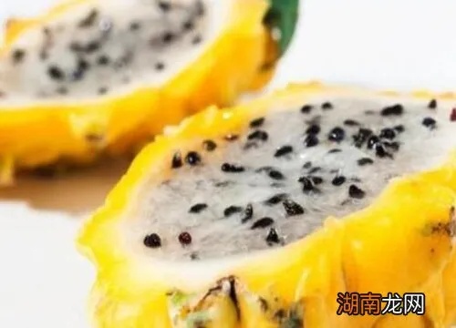 燕窝果什么季节成熟及采摘不建议食用原因