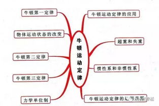 揭秘燕窝的正确使用规律：如何安排燕窝摄取时机以更大化效果