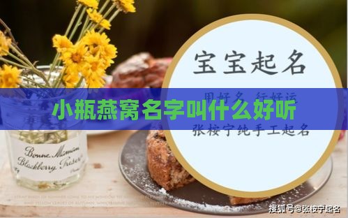 小瓶燕窝名字叫什么好听