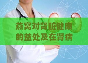 燕窝对肾脏健康的益处及在肾病治疗中的应用解析