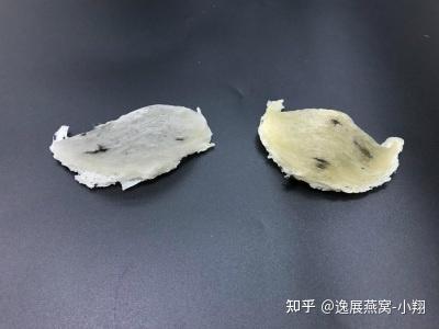 揭秘：金丝燕窝的独特外观与鉴别方法