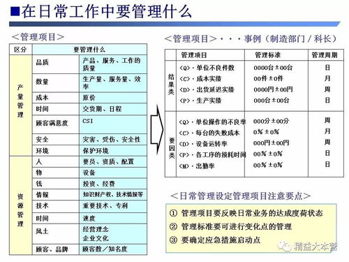 挑选燕窝必备工具与术语：全面指南，助您精准选购高品质燕窝