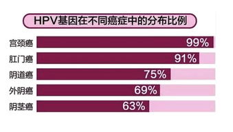 全新即食燕窝行业标准解析：Q17A3153S-2018规范详解与用户指南