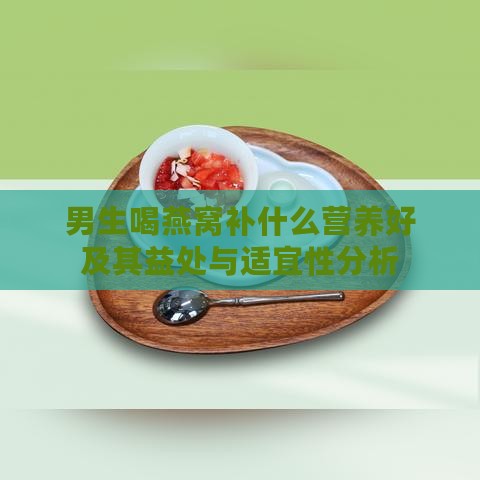 男生喝燕窝补什么营养好及其益处与适宜性分析