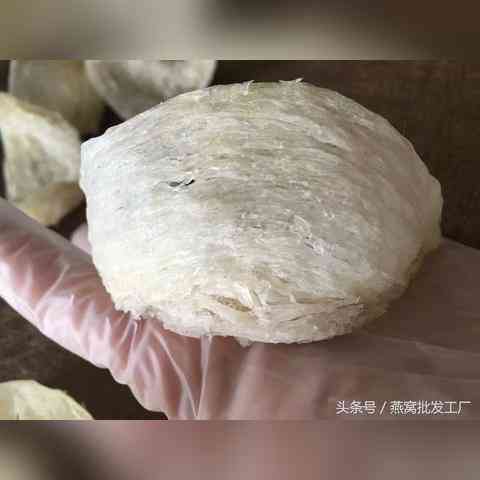 燕角进口燕窝推荐：品质与性价比双重考量