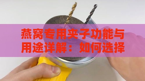 燕窝专用夹子功能与用途详解：如何选择和使用燕窝工具全指南