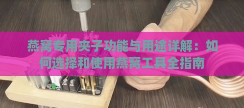 燕窝专用夹子功能与用途详解：如何选择和使用燕窝工具全指南