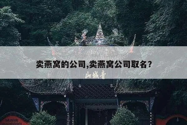 燕窝幕后老板叫什么名字呢：揭秘其英文名字