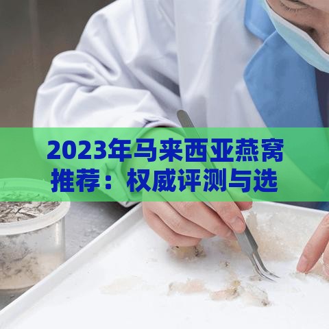 2023年马来西亚燕窝推荐：权威评测与选购指南