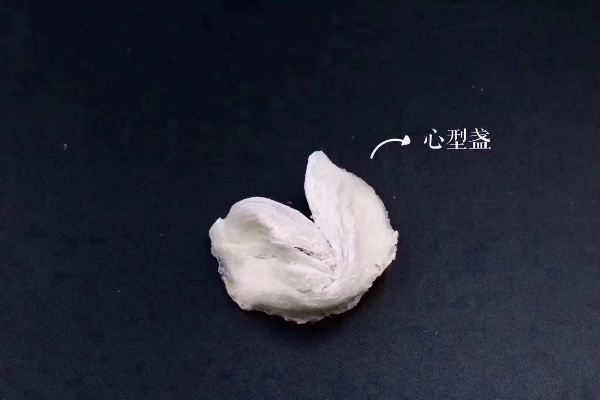 揭秘完美燕窝的天然形状与结构