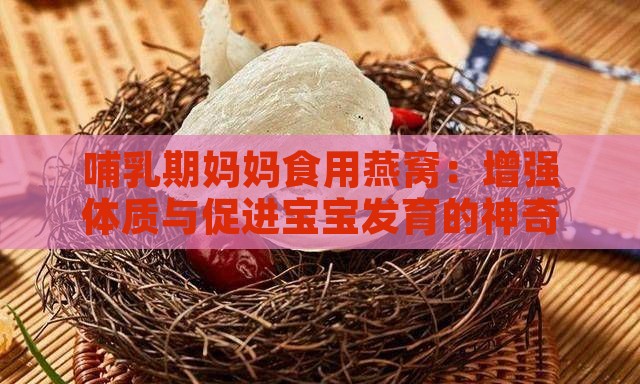 哺乳期妈妈食用燕窝：增强体质与促进宝宝发育的神奇功效与作用