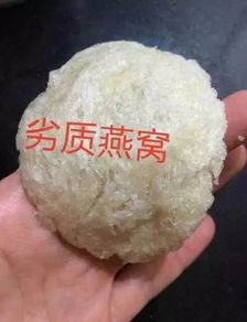 揭秘：燕窝中发现塑料细丝，究竟是什么材质构成？