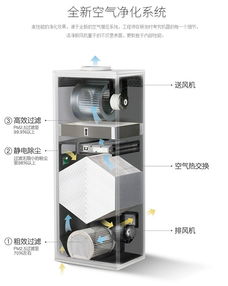 2024年最新燕窝机盘点：全面解析市面上热门燕窝机与选购指南