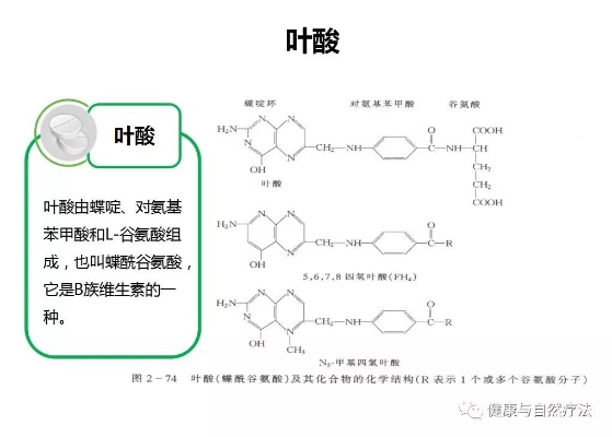 燕窝里的叶酸是什么成分及其组成详解