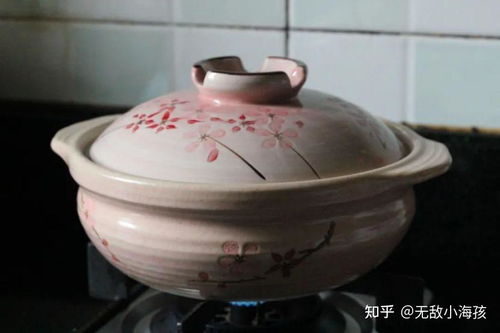 煮燕窝需要买什么锅子好一点：推荐高品质锅具选择指南