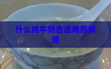 什么纯牛奶合适炖燕窝呢