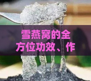 雪燕窝的全方位功效、作用及食用指南：深入了解其美容养颜与保健益处