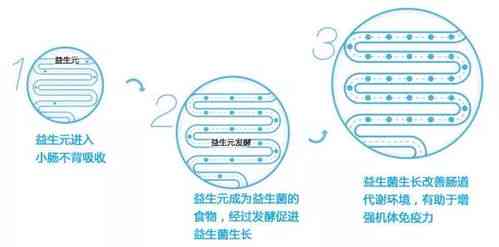 宝宝什么时候添加燕窝好：适宜年龄与更佳吸收时期探讨