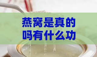 燕窝是真的吗有什么功效