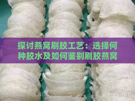 探讨燕窝刷胶工艺：选择何种胶水及如何鉴别刷胶燕窝全攻略