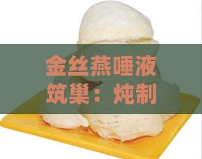 金丝燕唾液筑巢：炖制燕窝必备材料及辅助食材一览