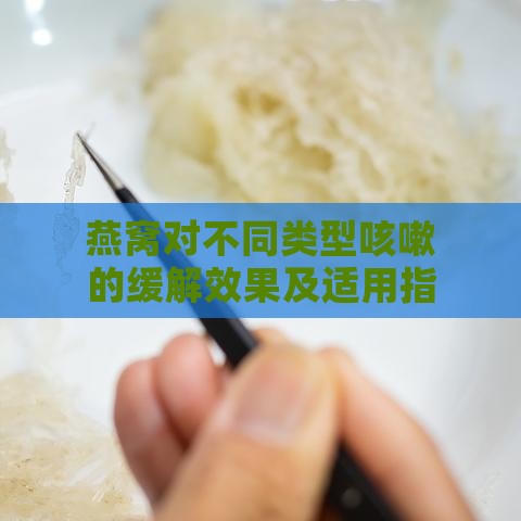 燕窝对不同类型咳嗽的缓解效果及适用指南