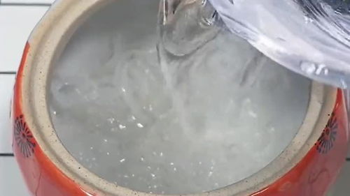 纯净水源揭秘：选用何种水泡发燕窝更佳